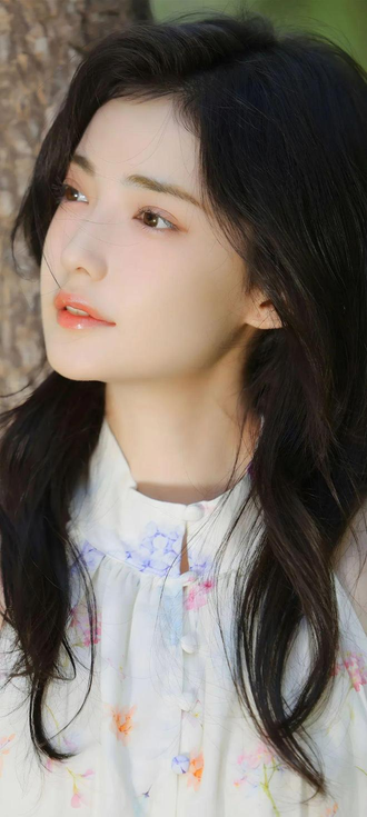 安装步骤演示图